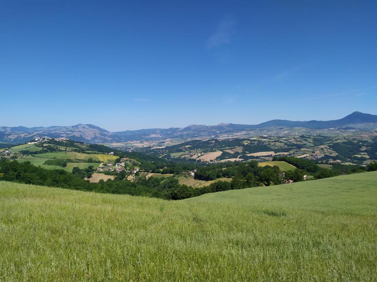 All Inbasilicata Bed & Breakfast Baragiano 外观 照片
